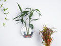 Wall Planter