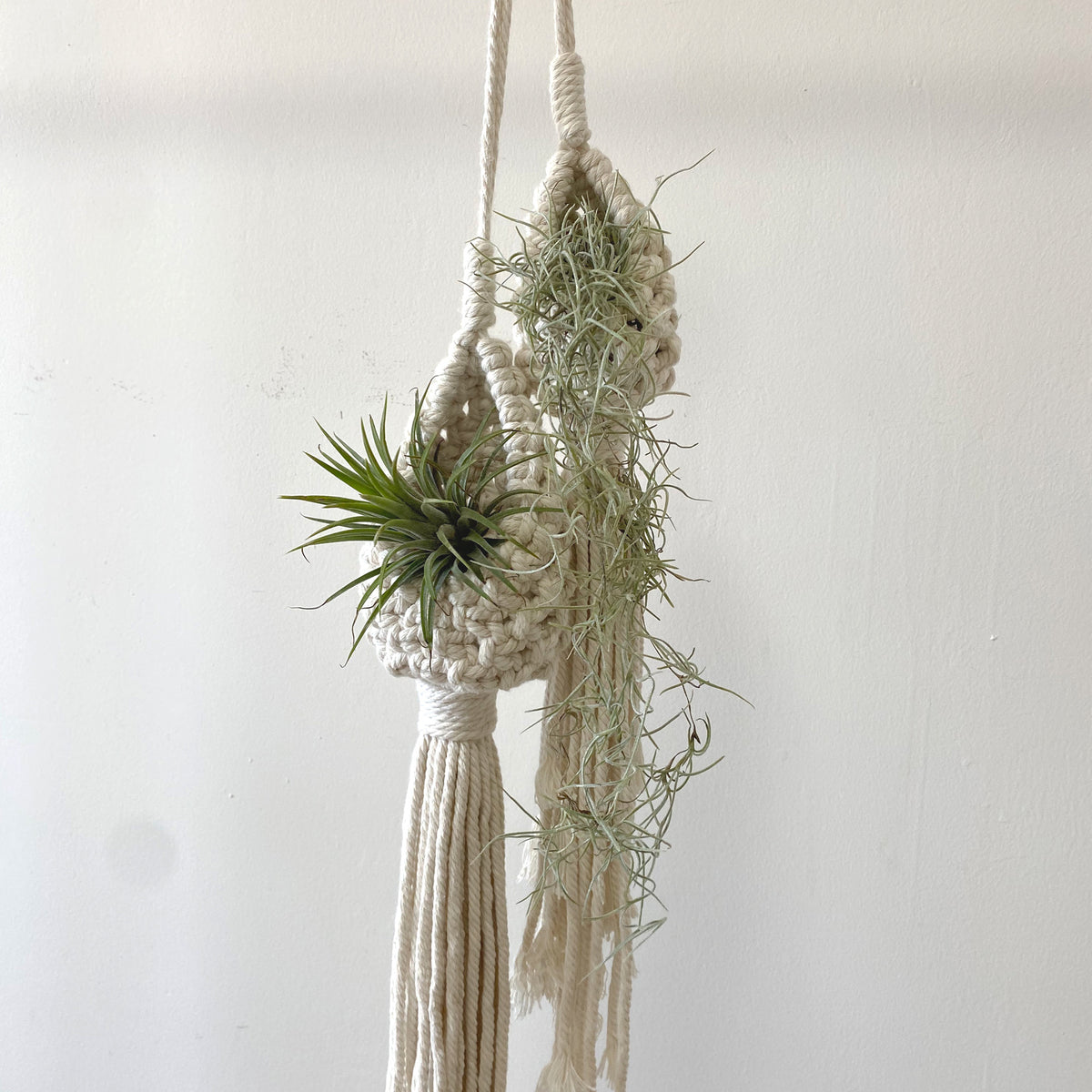 Bohemian Woven Planter Hanger