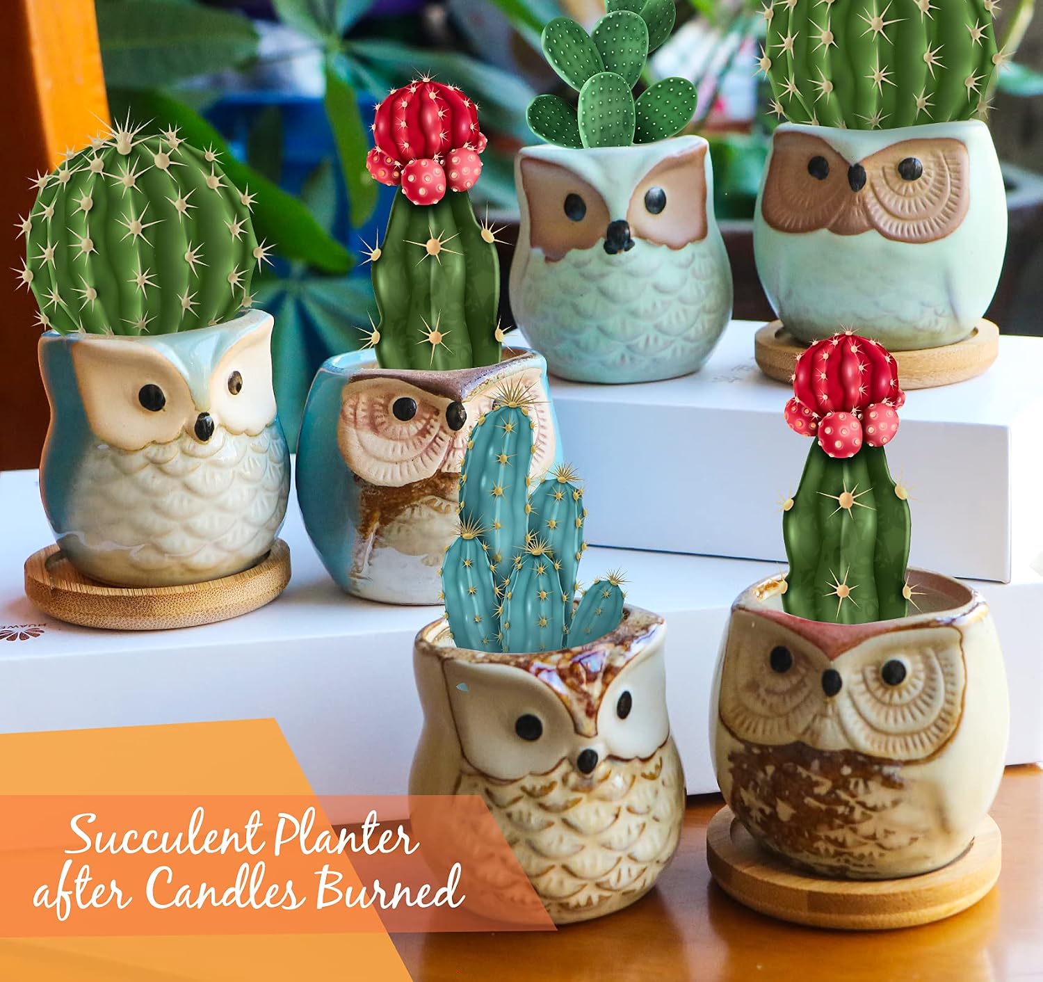 OWL Scented Candle Set
