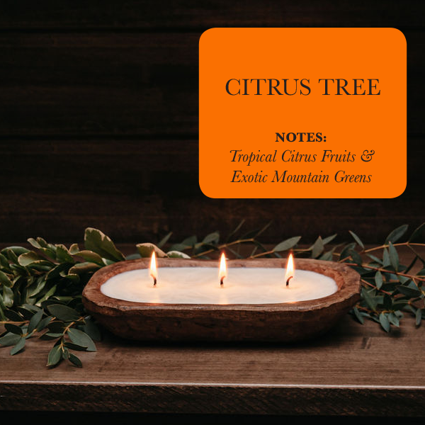 3-Wick Dough Bowl Soy Candle