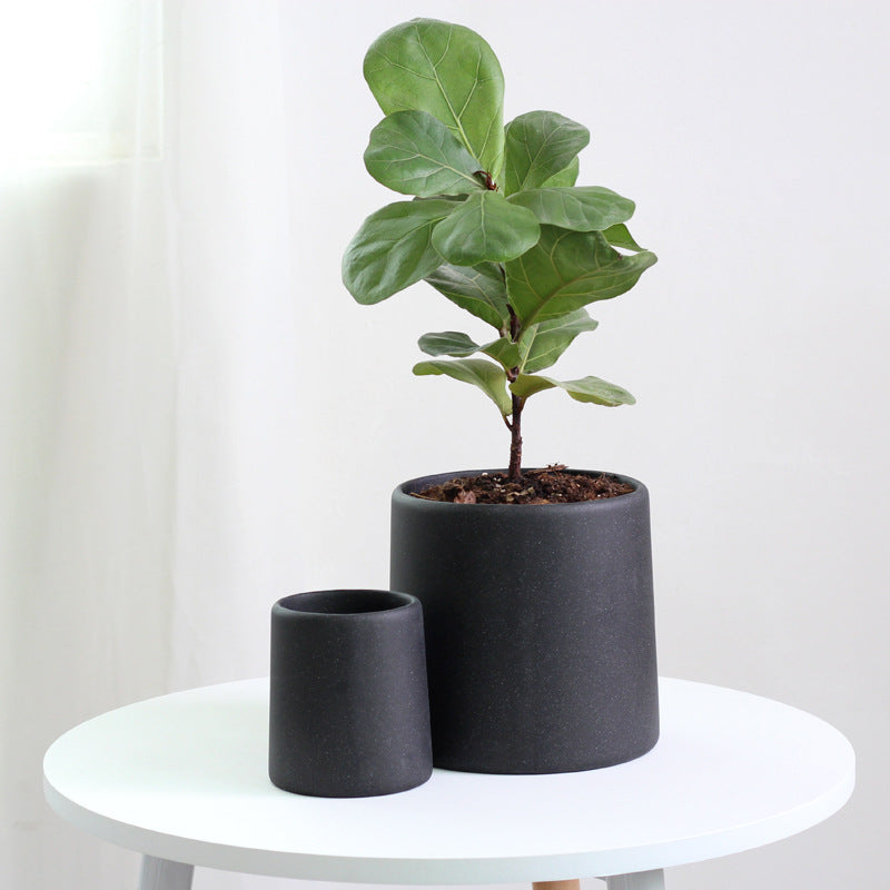 Minimalist Concrete Plant Pot