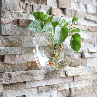 Wall Planter