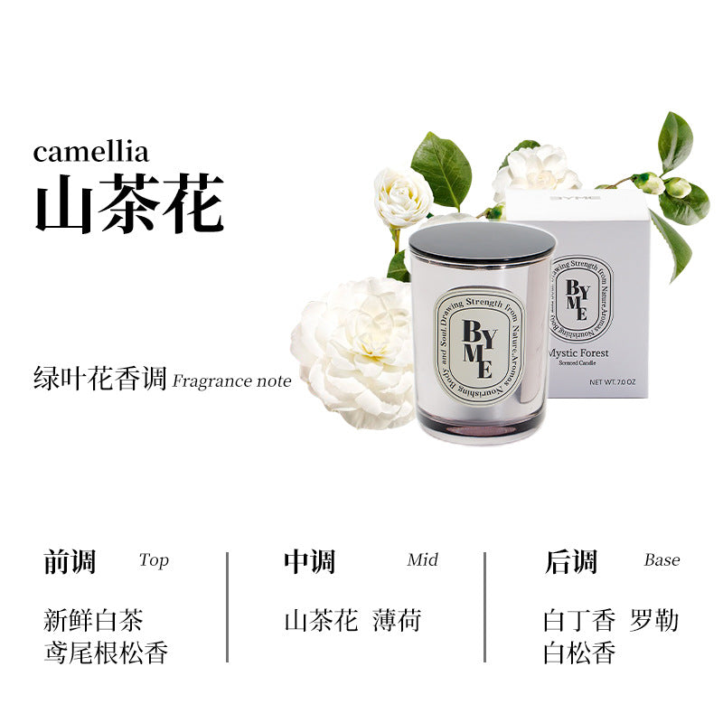 Electroplated Soy Candle Gift Set