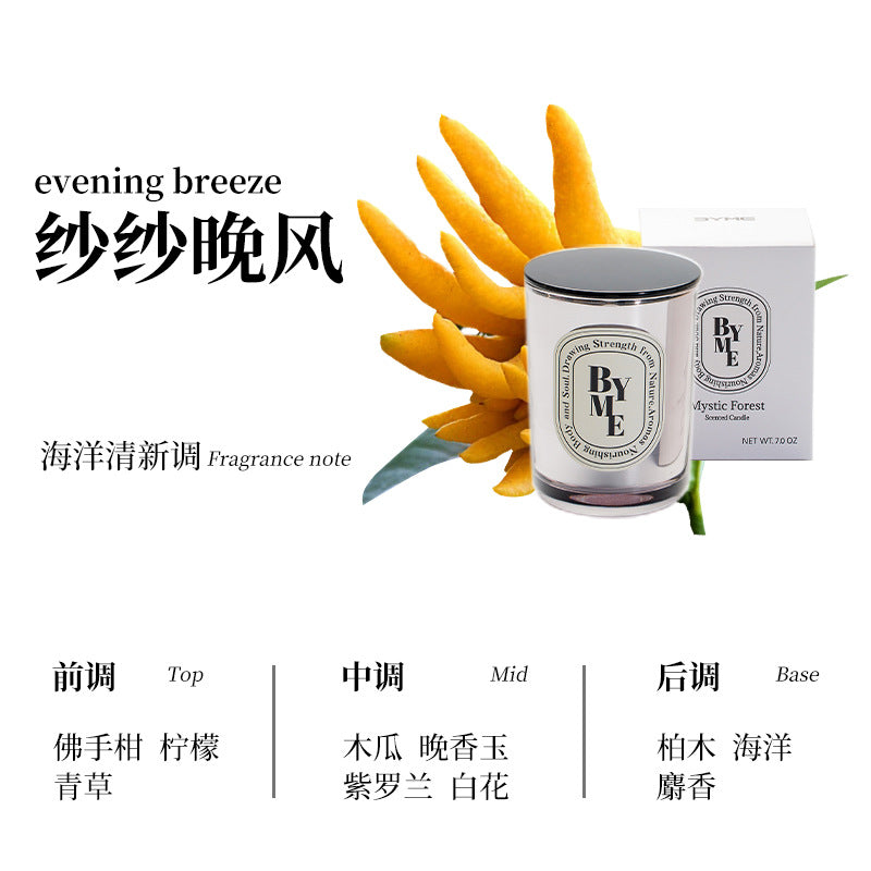 Electroplated Soy Candle Gift Set