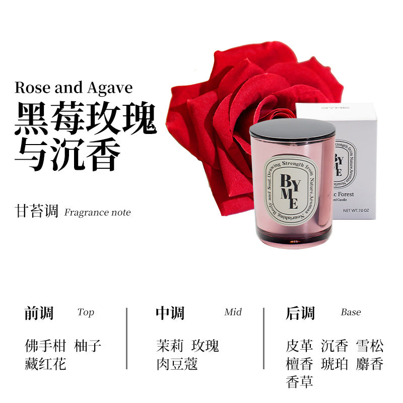 Electroplated Soy Candle Gift Set