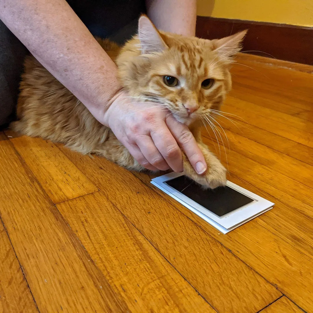 DIY Pet Owner Keepsake