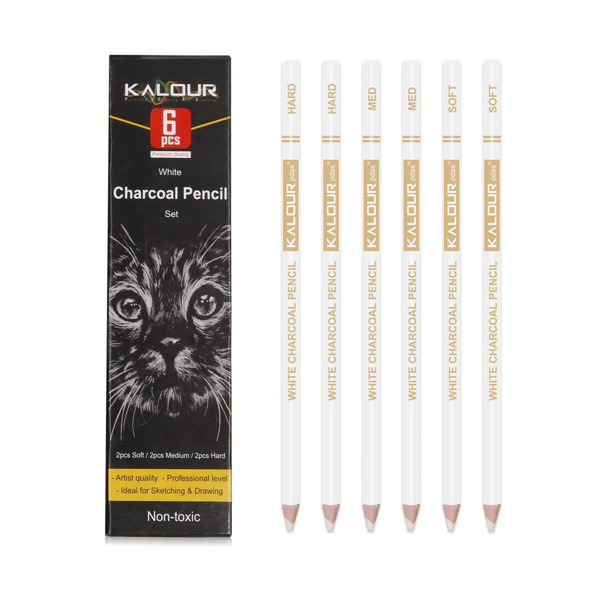 Charcoal Pencil Sketch Set