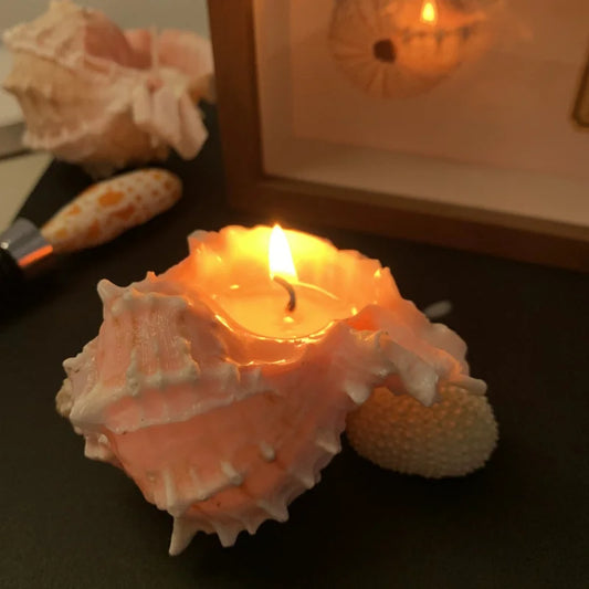 Conch Shell Soy Candle