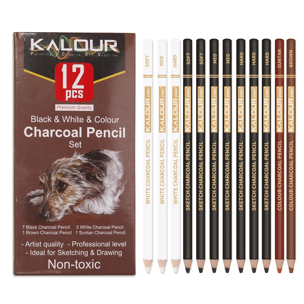 Charcoal Pencil Sketch Set