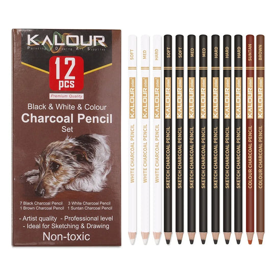 Charcoal Pencil Sketch Set
