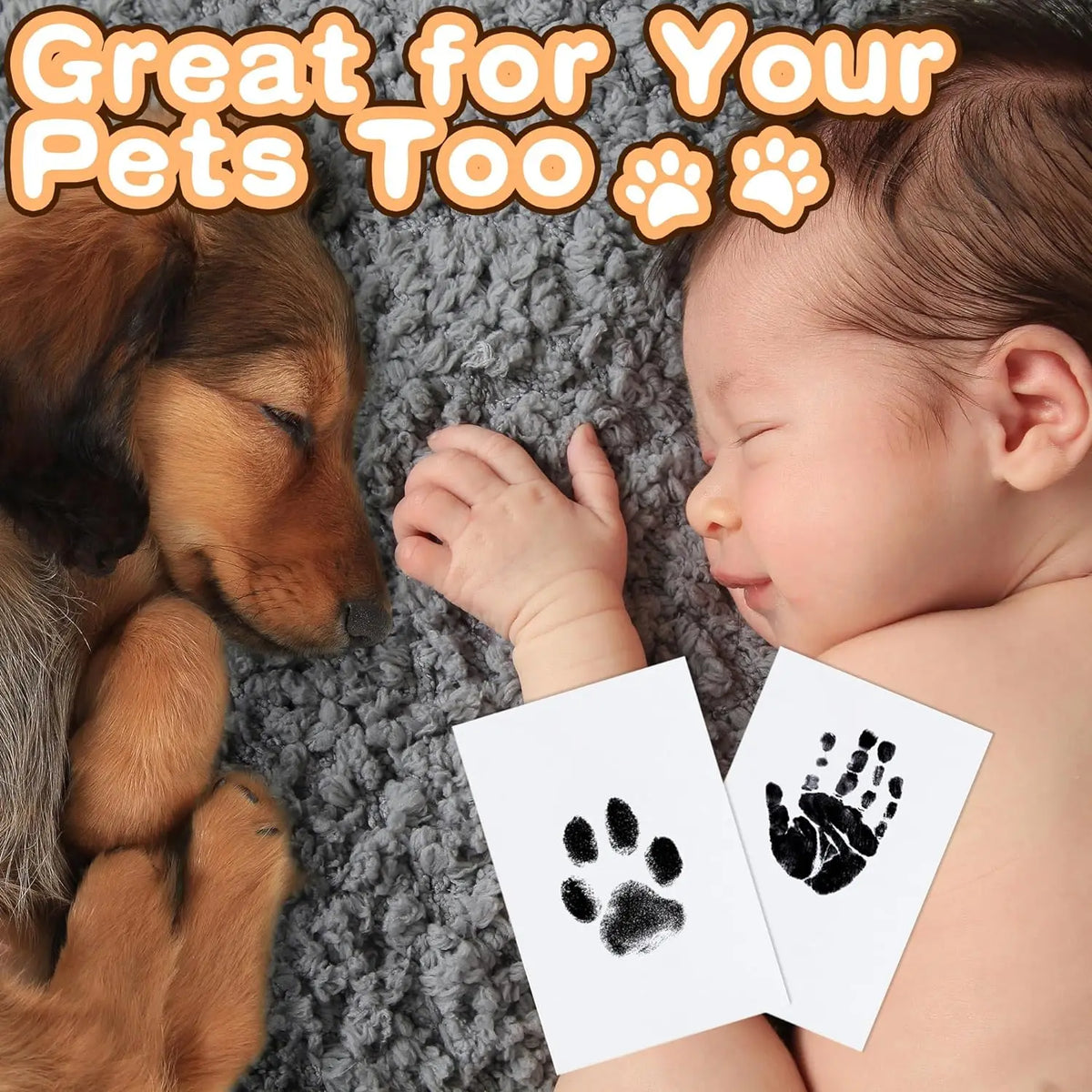 DIY Pet Owner Keepsake