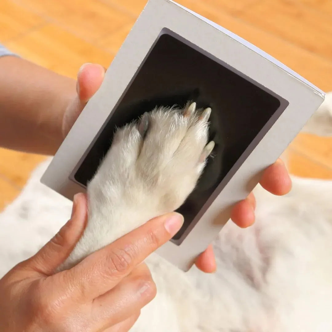 DIY Pet Owner Keepsake