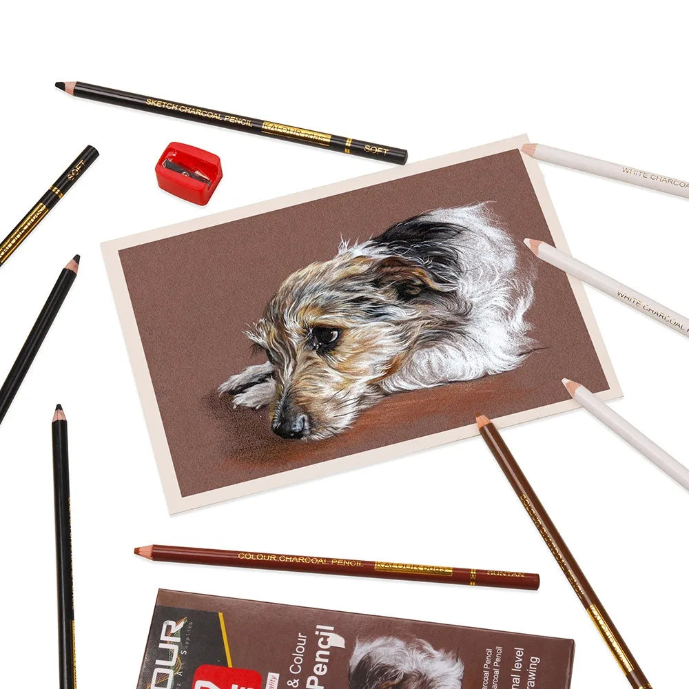 Charcoal Pencil Sketch Set