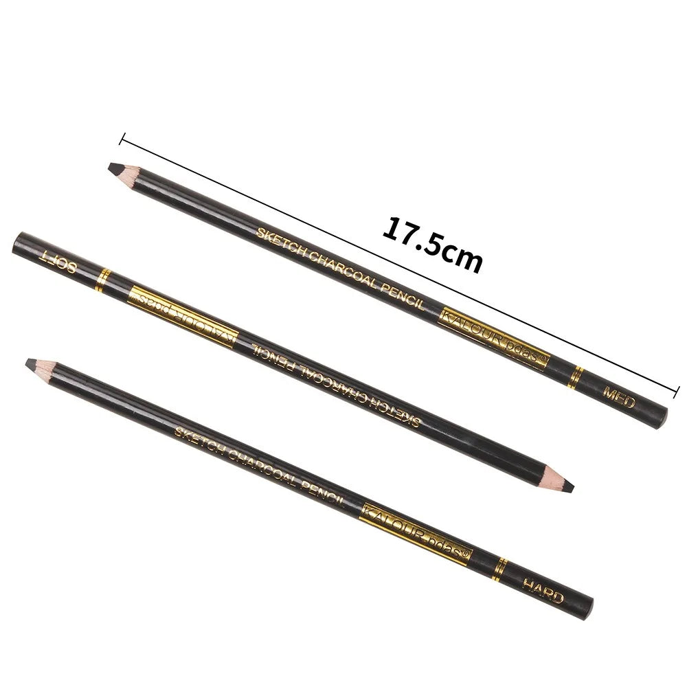 Charcoal Pencil Sketch Set