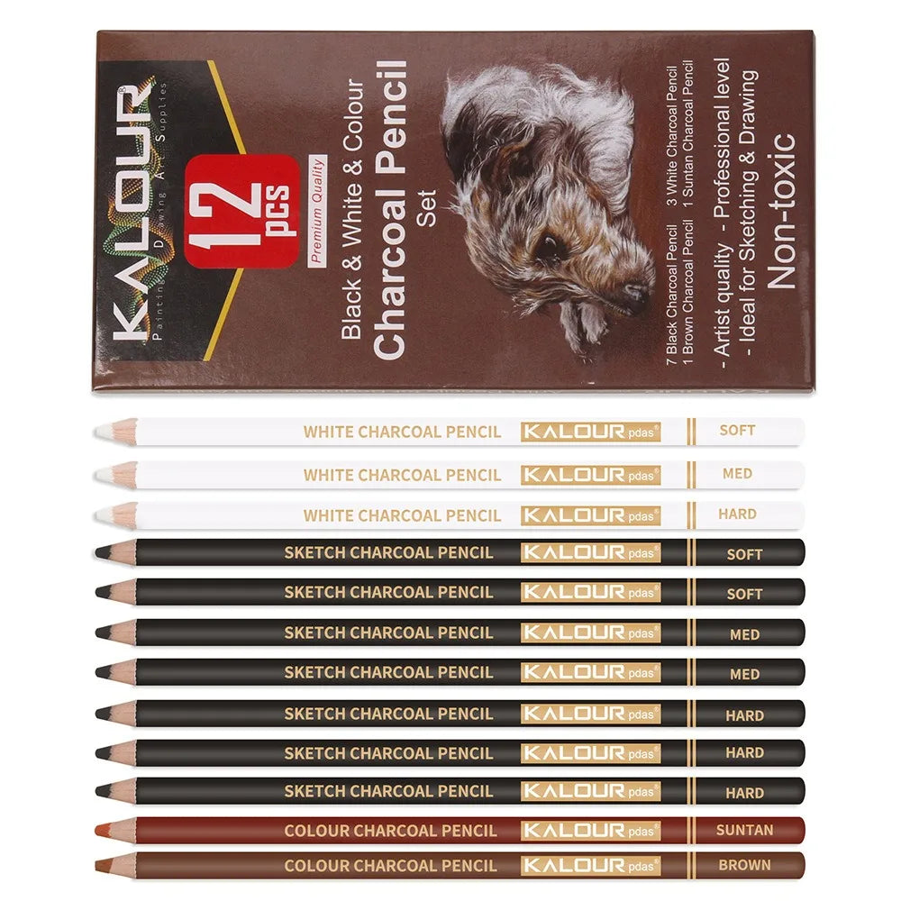Charcoal Pencil Sketch Set