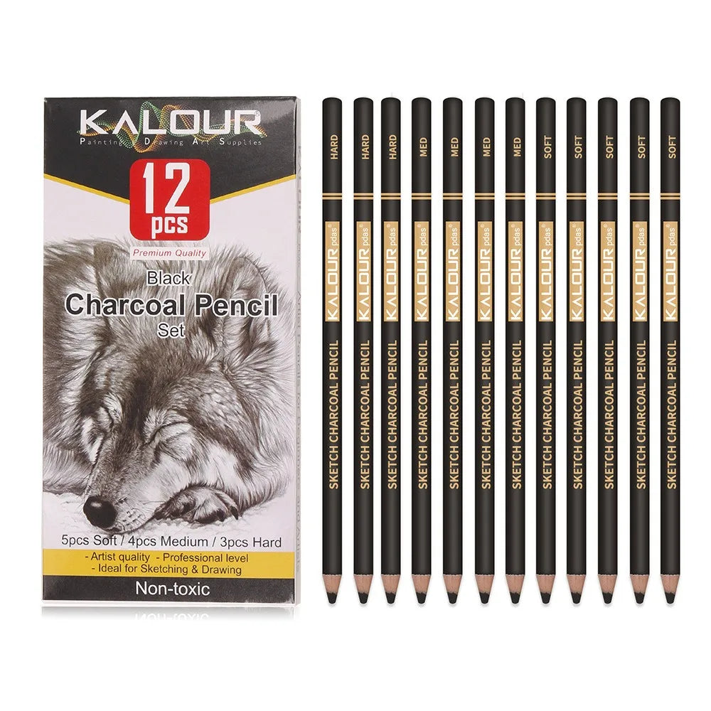 Charcoal Pencil Sketch Set