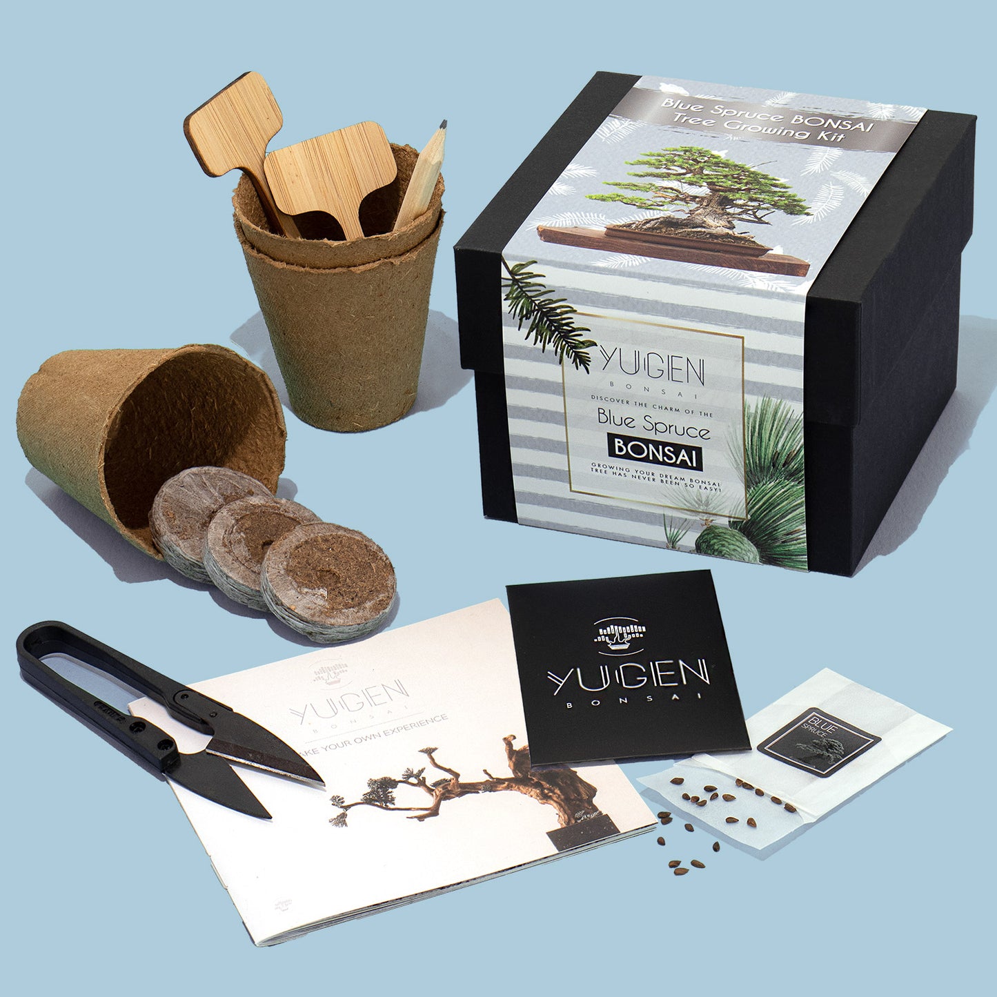 Blue Spruce Bonsai Tree Growing Kit